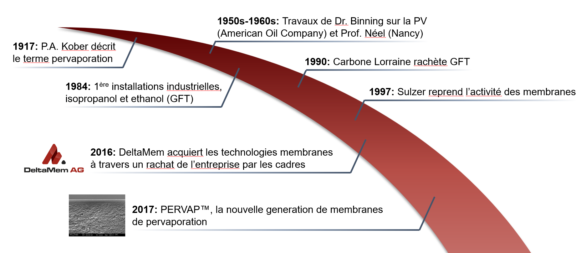 Timeline